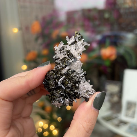 Epidote | Quartz "Eve"
