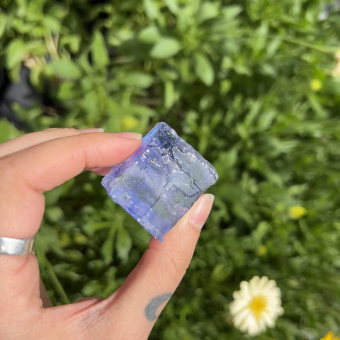 Blue Halite "William"