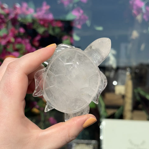 Clear Quartz Turtle "Ollie"