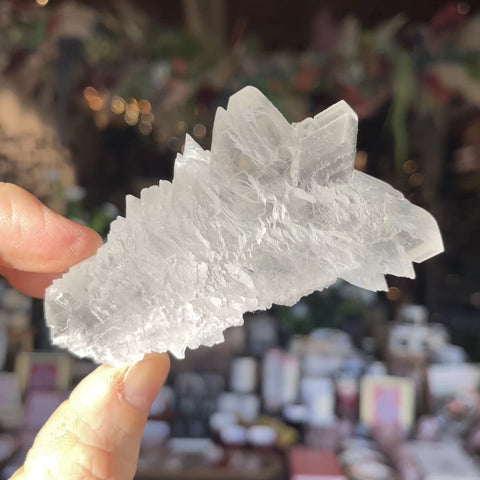 Angel Wing Selenite "Devin"