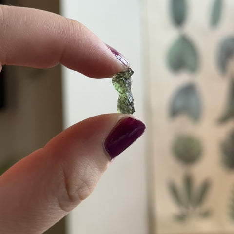 Moldavite "Tanner"