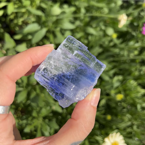 Blue Halite "Henry"
