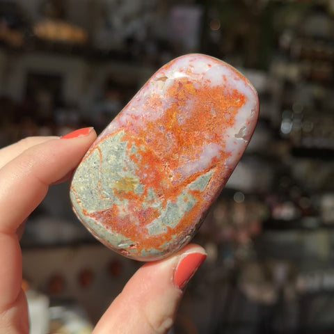 Bumblebee Jasper "Jack"