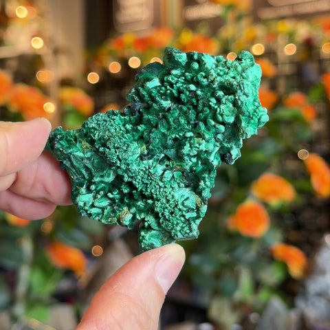 Fibrous Malachite "Sandra"