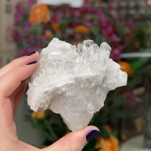 Clear Quartz "Tia"