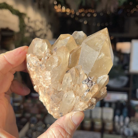 Natural Citrine "Marion"