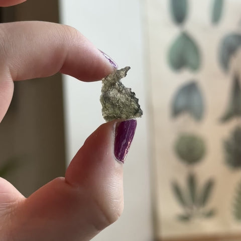 Moldavite "Cassie"