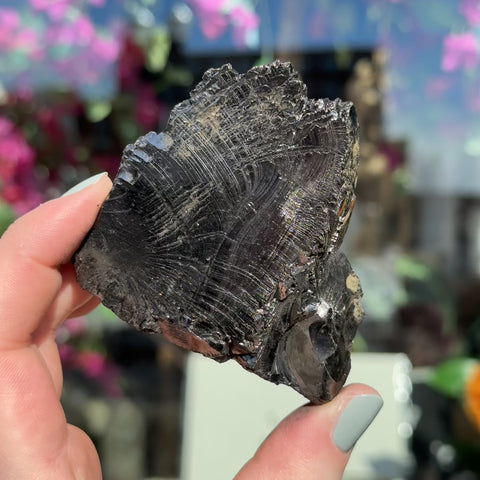Elite Shungite "Oswald"