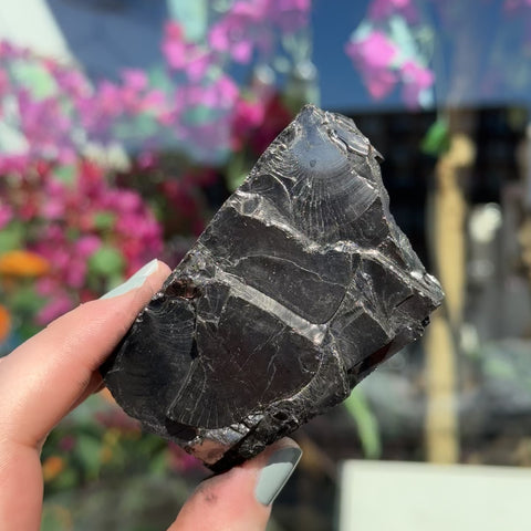 Elite Shungite "Gale"