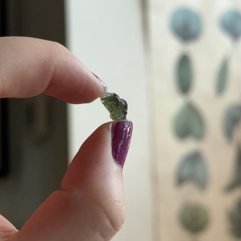 Moldavite "Leon"