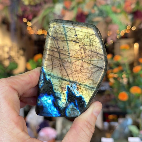 Labradorite "Wade"