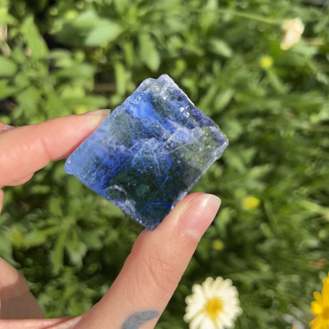 Blue Halite "Kai"