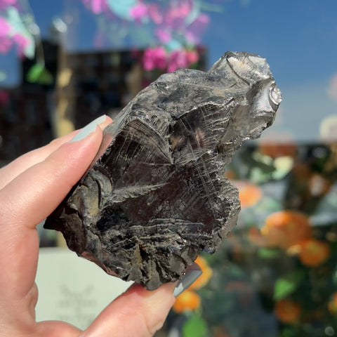 Elite Shungite "Dawson"