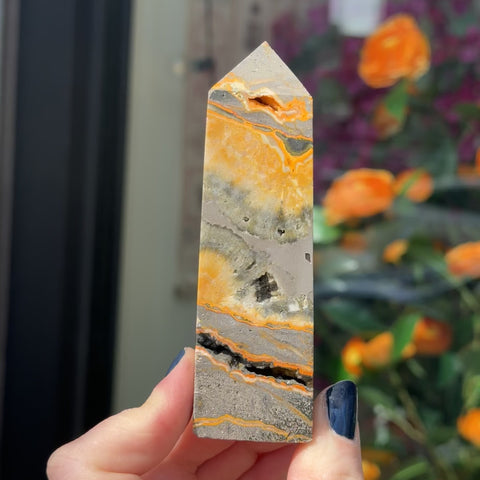 Bumblebee Jasper "Romeo"