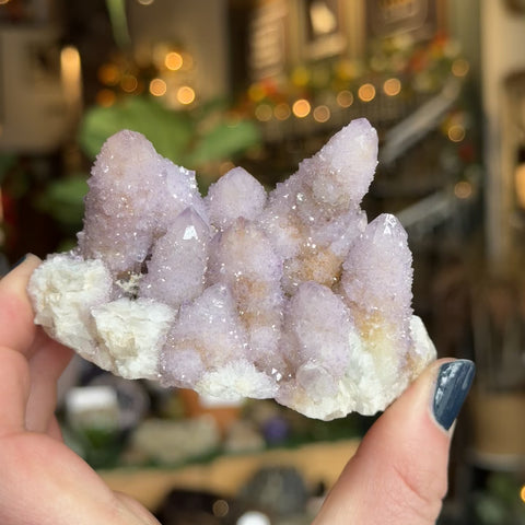 Cactus Amethyst "Brianna"