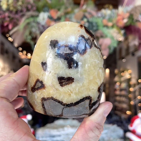 Septarian Stone "Rashid"