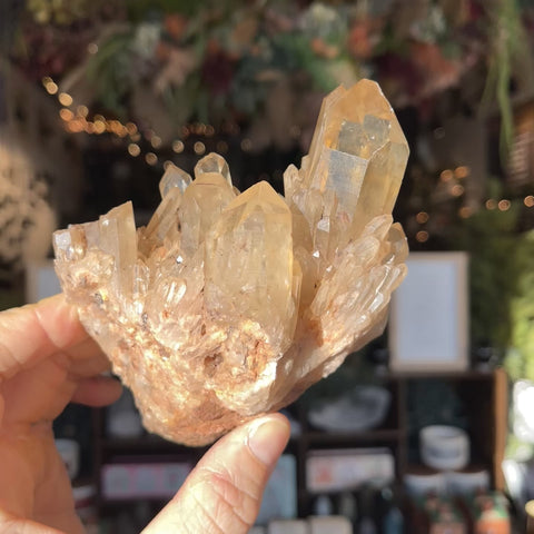 Natural Citrine "Jenny"