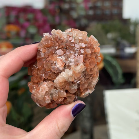 Aragonite "Stephen"