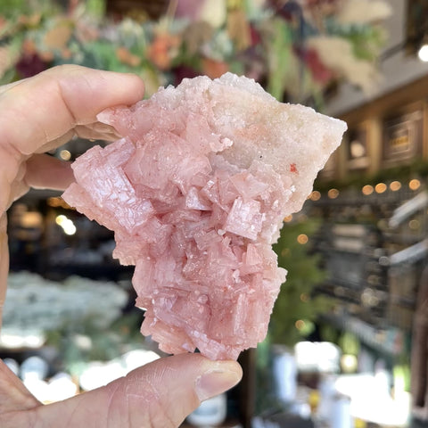 Pink Halite "Olivia"