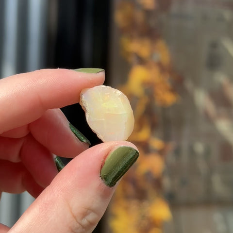 Ethiopian Opal "Avery"