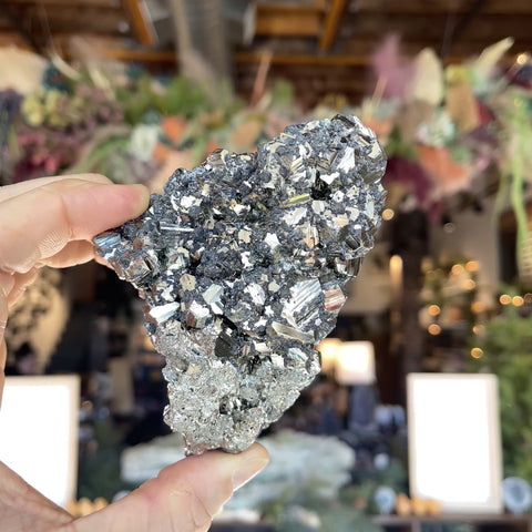 Pyrite | Galena "Gale"