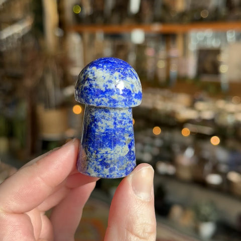 Lapis Lazuli Mushroom "Chad"