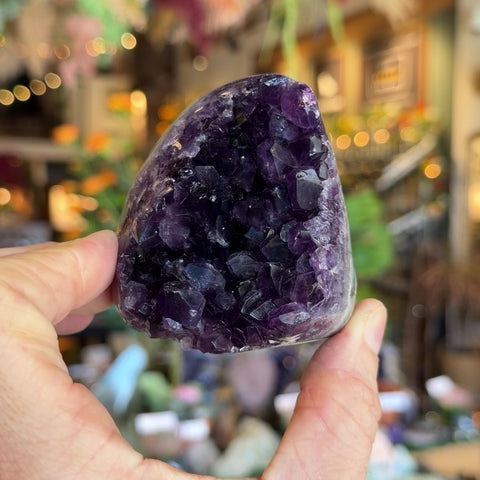 Amethyst "Morris"