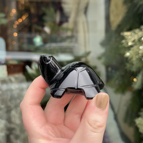 Obsidian Turtle "Franklin"