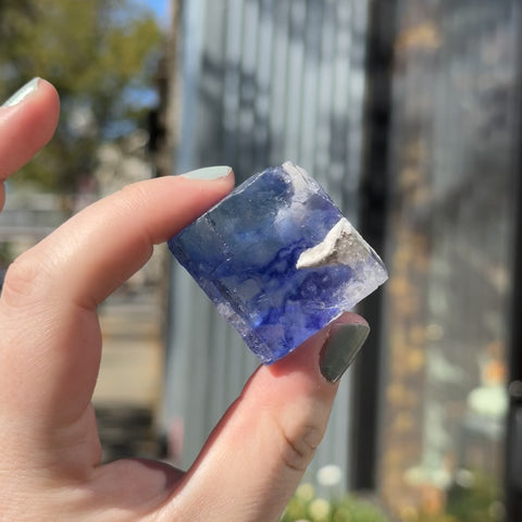 Blue Halite "Dominic"