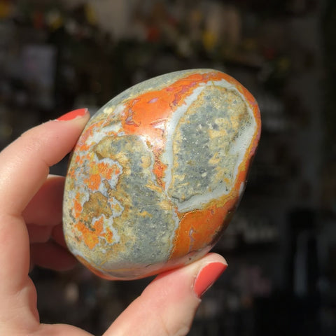 Bumblebee Jasper "Carolyn"