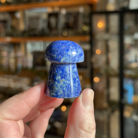 Lapis Lazuli Mushroom "Taylor"