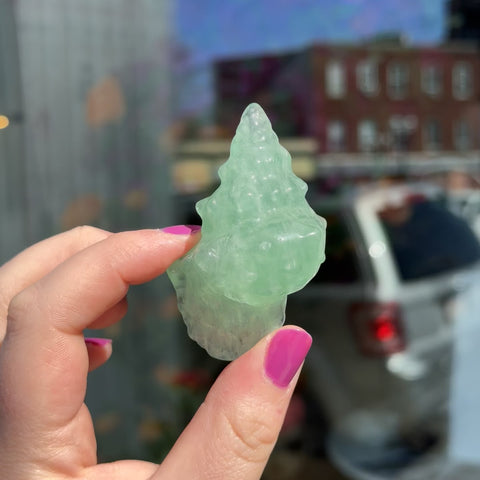 Green Fluorite Seashell