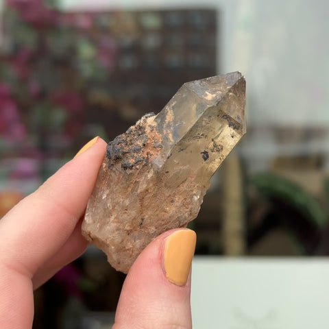 Natural Citrine "Felicity"