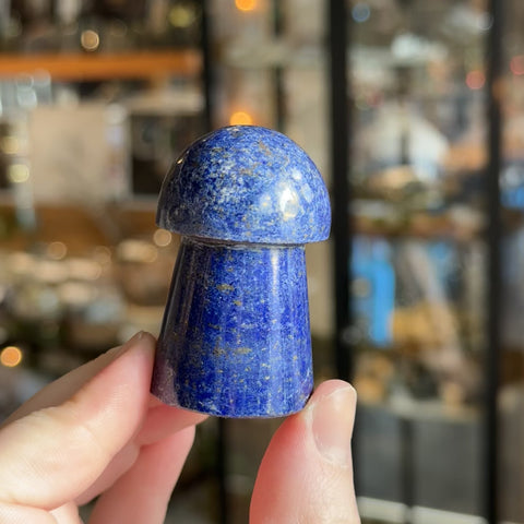 Lapis Lazuli Mushroom "Sharpay"