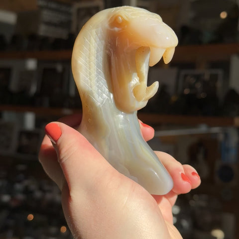 Agate Cobra "Françoise"
