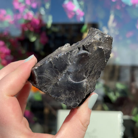 Elite Shungite "Horton"
