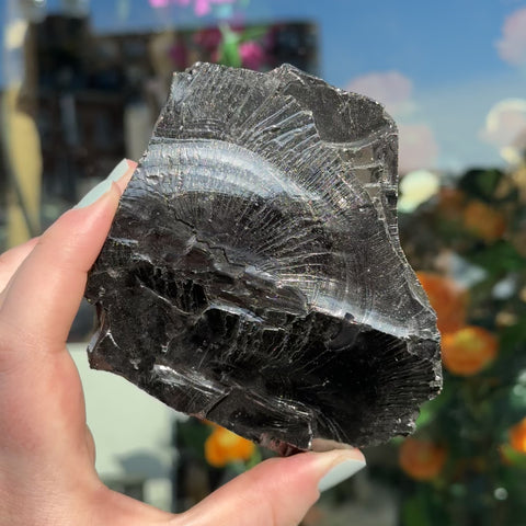 Elite Shungite "Sasha"