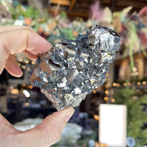 Pyrite | Galena "Max"