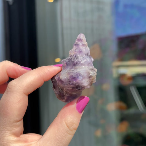Amethyst Seashell