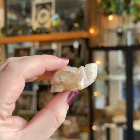 Flower Agate Turtle