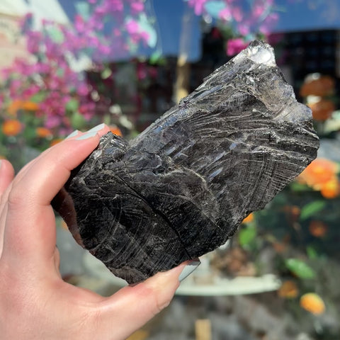 Elite Shungite "Desmond"