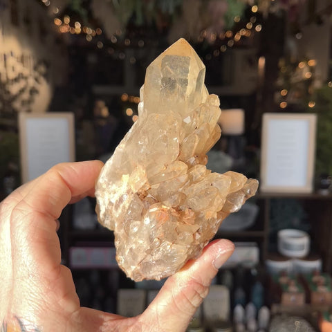 Natural Citrine "Fonzie"