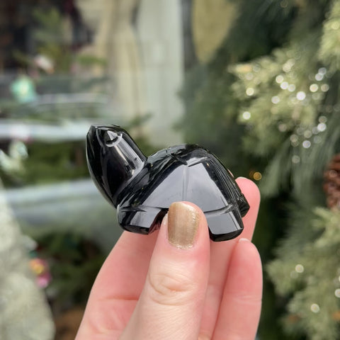 Obsidian Turtle "Diana"