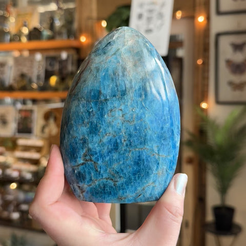 Blue Apatite "Delta"