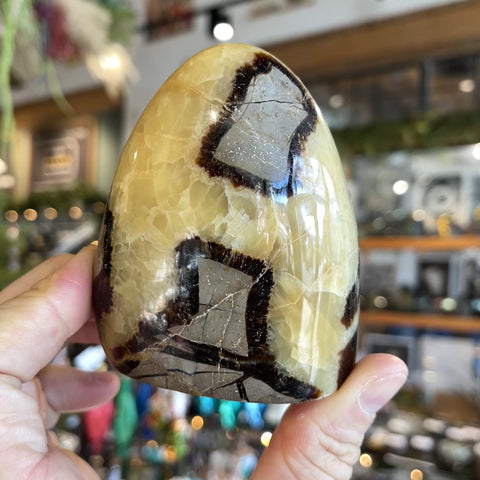 Septarian Stone "Bailey"