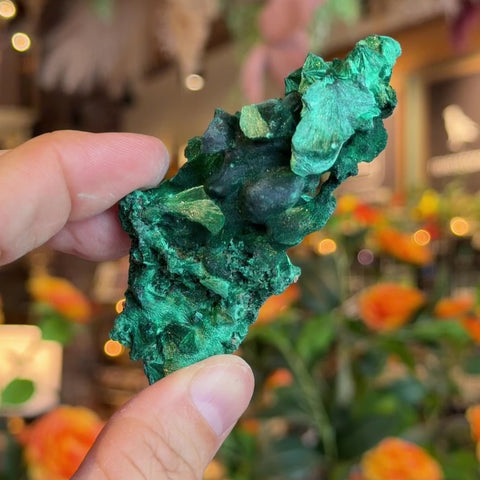 Fibrous Malachite "Spencer"
