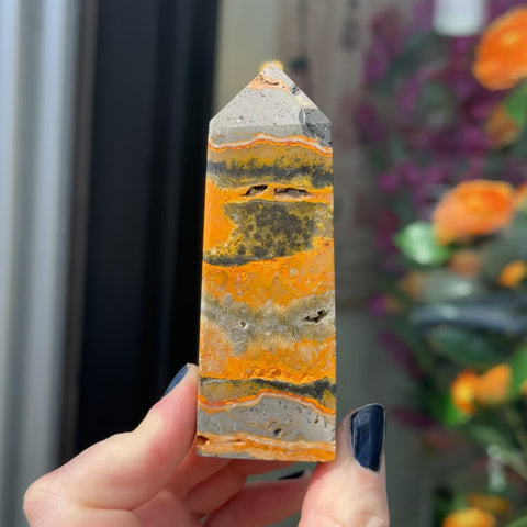Bumblebee Jasper "Skylar"