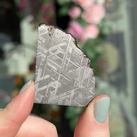 Muonionalusta "Dakota"