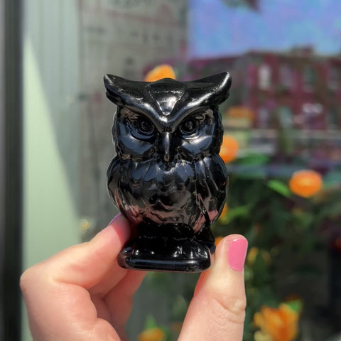 Obsidian Owl "Dana"