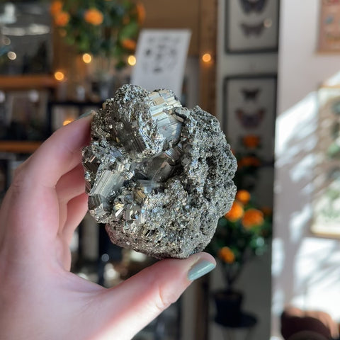 Pyrite "Ashley"